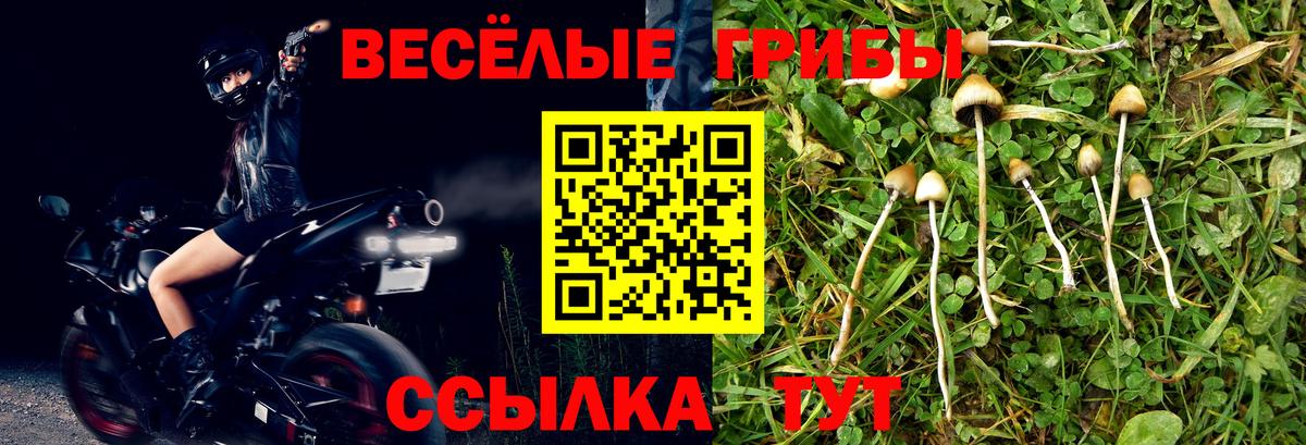 Псилоцибиновые грибы мицелий Лабытнанги
